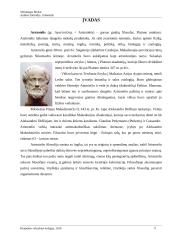 Antikos filosofija. Aristotelis 3 puslapis
