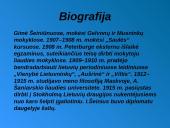 Ignas Šeinius skaidrės 2 puslapis