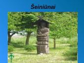 Ignas Šeinius skaidrės 3 puslapis