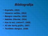 Ignas Šeinius skaidrės 6 puslapis