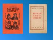 Ignas Šeinius skaidrės 7 puslapis