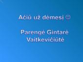 Ignas Šeinius skaidrės 8 puslapis