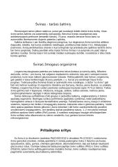 Metalai: Aliuminis ir Švinas 7 puslapis