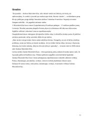 J. Marcinkevičius, jo gyvenimas ir pasiekimai 11 puslapis