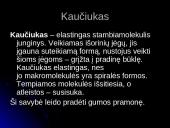 Odos gaminių, baldų, plastiko, gumos technologijų pramonė 6 puslapis
