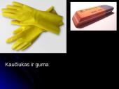 Odos gaminių, baldų, plastiko, gumos technologijų pramonė 7 puslapis