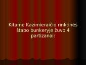 Vaclovas Voveris – Žaibas 11 puslapis