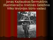 Vaclovas Voveris – Žaibas 12 puslapis