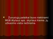 Vaclovas Voveris – Žaibas 16 puslapis