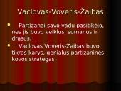Vaclovas Voveris – Žaibas 17 puslapis