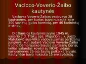 Vaclovas Voveris – Žaibas 7 puslapis
