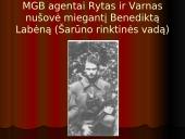 Vaclovas Voveris – Žaibas 10 puslapis