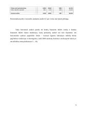 Įmonės finansinė veikla: drabužių parduotuvės 11 puslapis