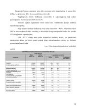 Įmonės finansinė veikla: drabužių parduotuvės 14 puslapis