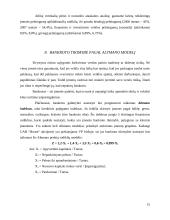 Įmonės finansinė veikla: drabužių parduotuvės 15 puslapis