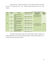 Įmonės finansinė veikla: drabužių parduotuvės 16 puslapis