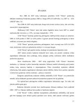 Įmonės finansinė veikla: drabužių parduotuvės 17 puslapis