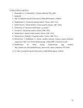 Įmonės finansinė veikla: drabužių parduotuvės 19 puslapis