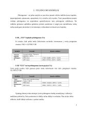 Įmonės finansinė veikla: drabužių parduotuvės 3 puslapis