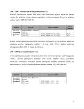 Įmonės finansinė veikla: drabužių parduotuvės 4 puslapis