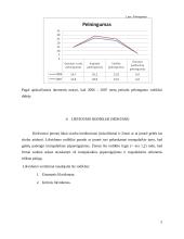 Įmonės finansinė veikla: drabužių parduotuvės 5 puslapis