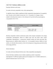 Įmonės finansinė veikla: drabužių parduotuvės 6 puslapis