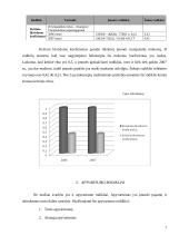 Įmonės finansinė veikla: drabužių parduotuvės 7 puslapis