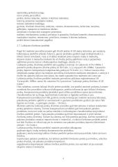 Muitinės kontrolės reglamentavimas prekyboje tarp trečiųjų asmenu 7 puslapis