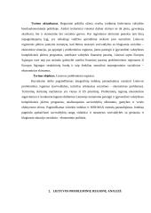 Probleminių Lietuvos regionų rodiklių analizė 3 puslapis