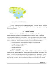 Probleminių Lietuvos regionų rodiklių analizė 5 puslapis