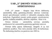 UAB "X" įmonės finansinė analizė 4 puslapis