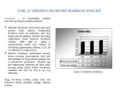 UAB "X" įmonės finansinė analizė 7 puslapis