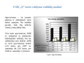 UAB "X" įmonės finansinė analizė 10 puslapis