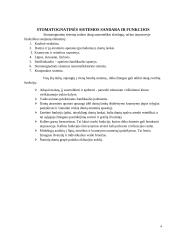 Amžinai stomatognatinės sistemos struktūriniai pokyčiai 4 puslapis