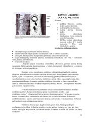Amžinai stomatognatinės sistemos struktūriniai pokyčiai 10 puslapis
