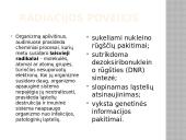 Radioaktyvumo poveikis žmogaus organizmui skaidrės 19 puslapis
