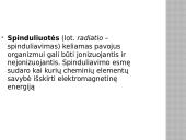 Radioaktyvumo poveikis žmogaus organizmui skaidrės 5 puslapis