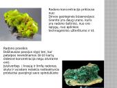 Radioaktyvumo poveikis žmogaus organizmui skaidrės 9 puslapis