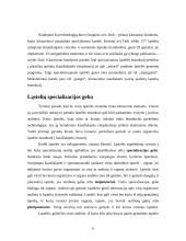 Kamieninės ląstelės. Stuburinių gyvūnų klonavimas. 6 puslapis