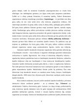 Kamieninės ląstelės. Stuburinių gyvūnų klonavimas. 8 puslapis