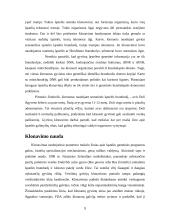 Kamieninės ląstelės. Stuburinių gyvūnų klonavimas. 9 puslapis