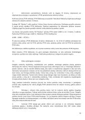 PVM ir jo reikšmė formuojant biudžetą 16 puslapis