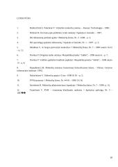 PVM ir jo reikšmė formuojant biudžetą 20 puslapis