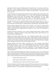 PVM ir jo reikšmė formuojant biudžetą 5 puslapis