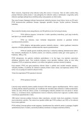 PVM ir jo reikšmė formuojant biudžetą 6 puslapis