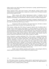 PVM ir jo reikšmė formuojant biudžetą 9 puslapis