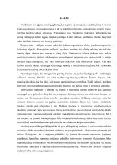 Motyvavimo proceso analizė organizacijoje 2 puslapis