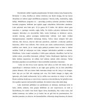 Specialiųjų poreikių vaiko aprašymas 2 puslapis