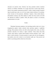 Specialiųjų poreikių vaiko aprašymas 3 puslapis