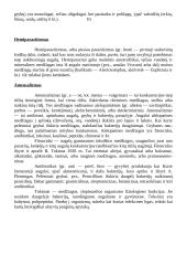 Konkurencijos modeliai 11 puslapis